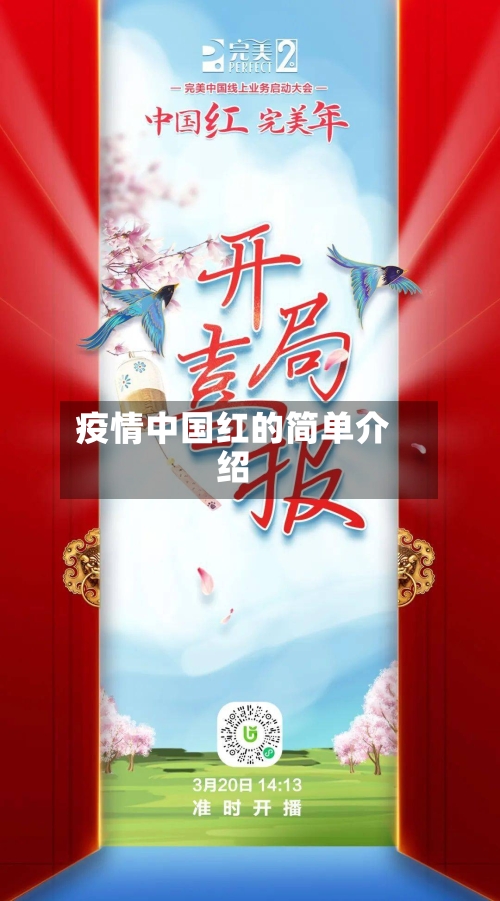 疫情中国红的简单介绍