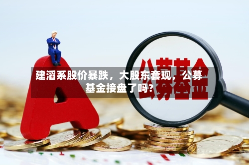 建滔系股价暴跌，大股东套现	，公募基金接盘了吗？-第3张图片