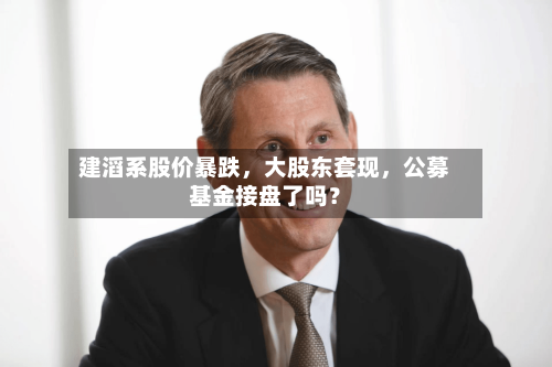 建滔系股价暴跌，大股东套现	，公募基金接盘了吗？-第2张图片