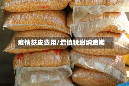 疫情麸皮费用/增值税缴纳逾期-第3张图片