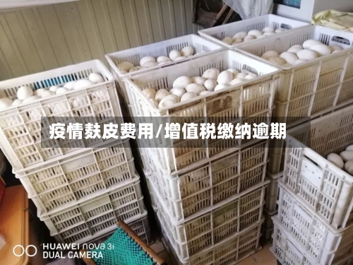 疫情麸皮费用/增值税缴纳逾期-第2张图片