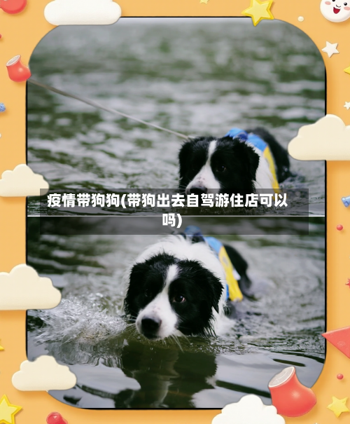 疫情带狗狗(带狗出去自驾游住店可以吗)