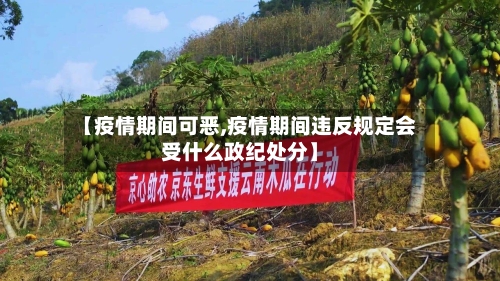 【疫情期间可恶,疫情期间违反规定会受什么政纪处分】