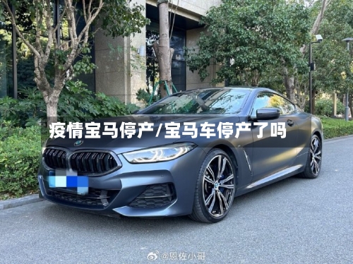 疫情宝马停产/宝马车停产了吗
