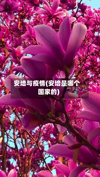 安培与疫情(安培是哪个国家的)