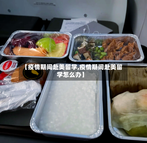【疫情期间赴美留学,疫情期间赴美留学怎么办】