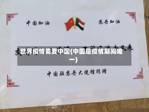 世界疫情需要中国(中国是疫情期间唯一)-第3张图片