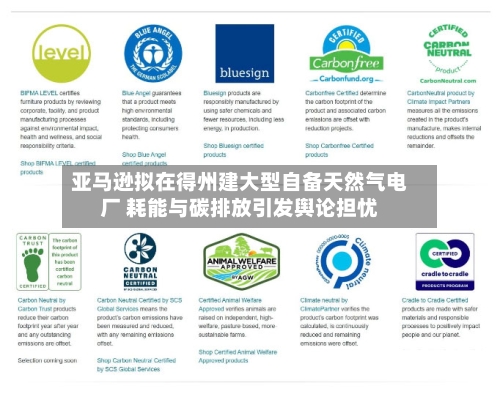 亚马逊拟在得州建大型自备天然气电厂 耗能与碳排放引发舆论担忧-第2张图片