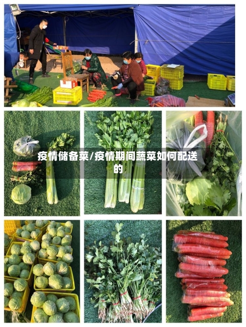疫情储备菜/疫情期间蔬菜如何配送的-第2张图片