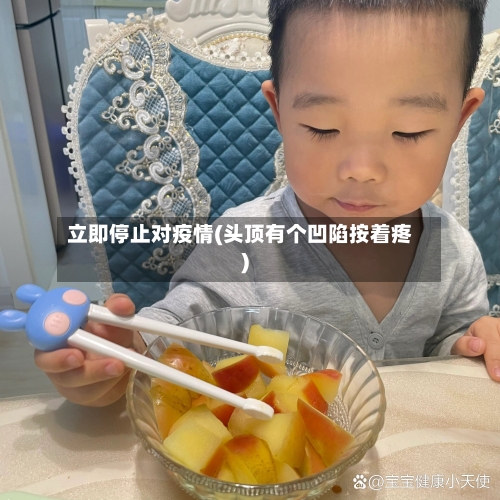 立即停止对疫情(头顶有个凹陷按着疼)-第2张图片