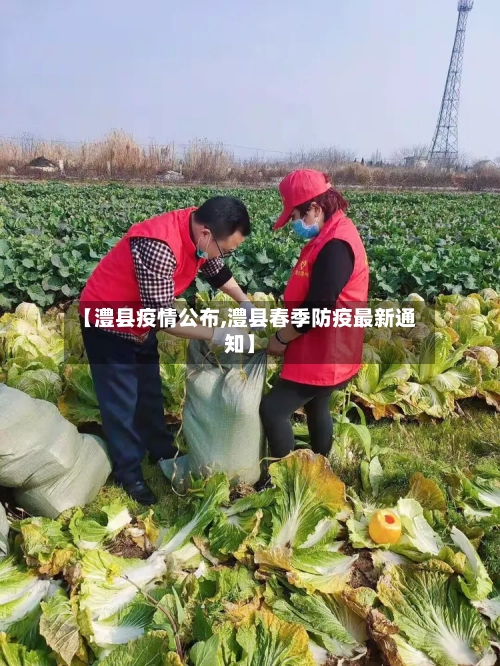 【澧县疫情公布,澧县春季防疫最新通知】