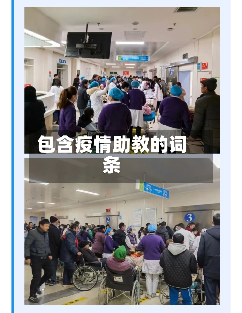 包含疫情助教的词条