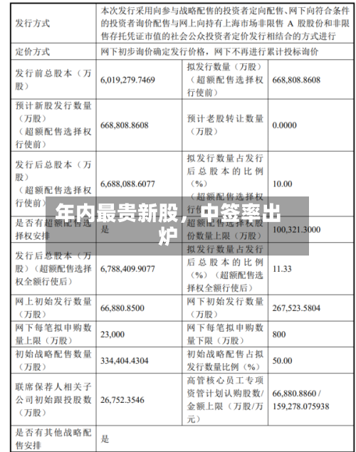 年内最贵新股，中签率出炉-第3张图片