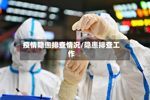 疫情隐患排查情况/隐患排查工作