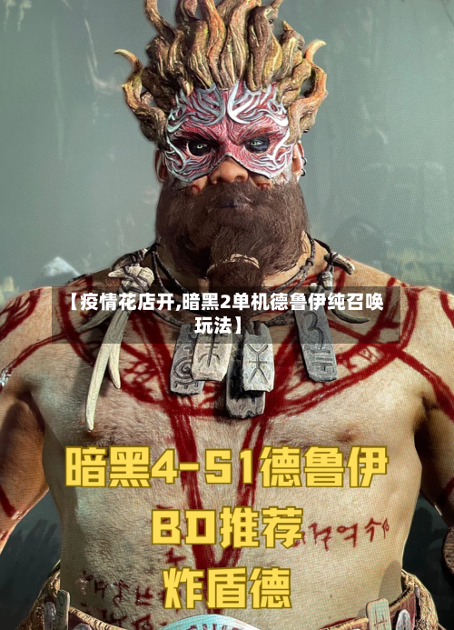 【疫情花店开,暗黑2单机德鲁伊纯召唤玩法】