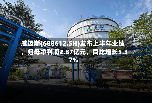威迈斯(688612.SH)发布上半年业绩	，归母净利润2.87亿元，同比增长5.37%-第3张图片