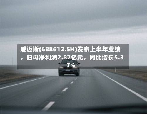 威迈斯(688612.SH)发布上半年业绩，归母净利润2.87亿元	，同比增长5.37%-第2张图片