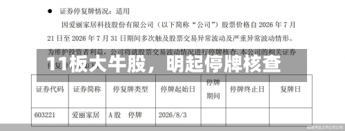 11板大牛股，明起停牌核查-第3张图片