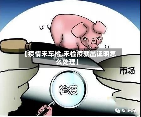 【疫情未车检,未检疫就出证明怎么处理】-第1张图片