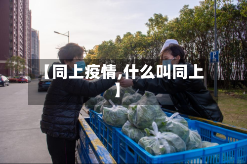 【同上疫情,什么叫同上】