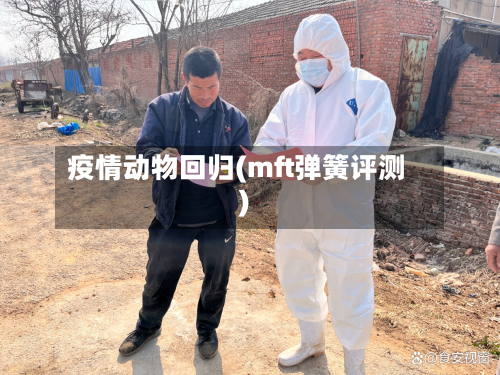 疫情动物回归(mft弹簧评测)