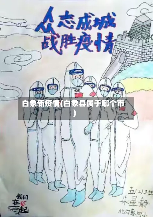 白象新疫情(白象县属于哪个市)-第2张图片
