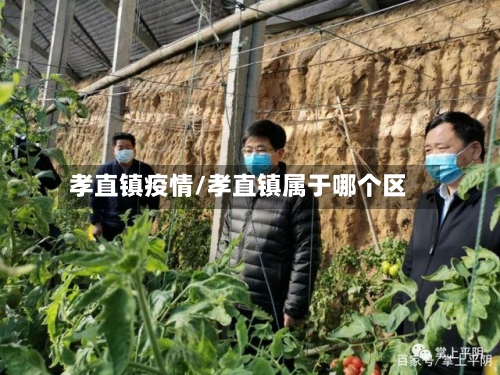 孝直镇疫情/孝直镇属于哪个区-第2张图片