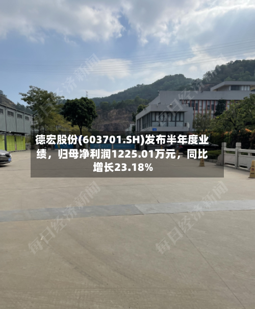 德宏股份(603701.SH)发布半年度业绩，归母净利润1225.01万元，同比增长23.18%-第2张图片