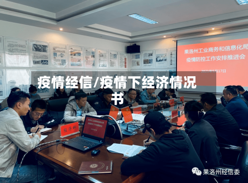 疫情经信/疫情下经济情况书-第3张图片