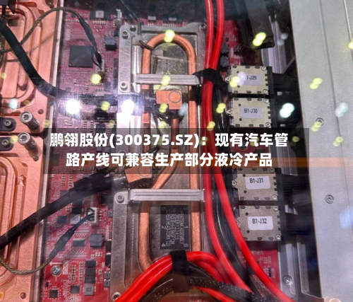 鹏翎股份(300375.SZ)：现有汽车管路产线可兼容生产部分液冷产品