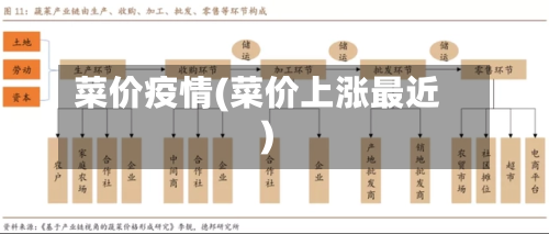 菜价疫情(菜价上涨最近)-第3张图片