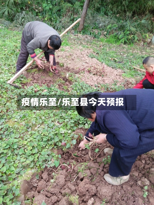 疫情乐至/乐至县今天预报