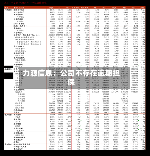 力源信息：公司不存在逾期担保