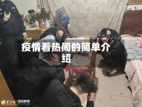 疫情看热闹的简单介绍