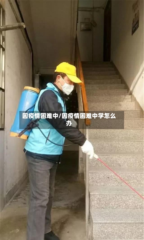 因疫情困难中/因疫情困难中学怎么办-第2张图片