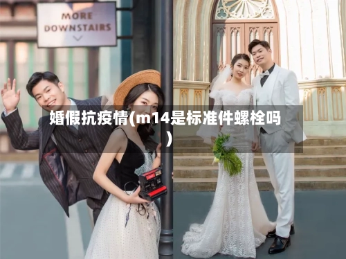 婚假抗疫情(m14是标准件螺栓吗)-第3张图片