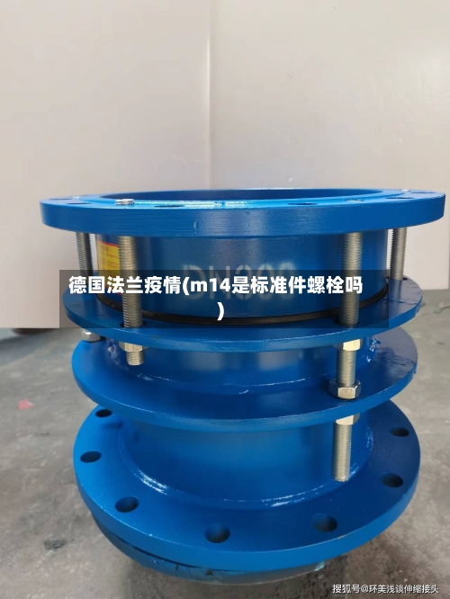 德国法兰疫情(m14是标准件螺栓吗)