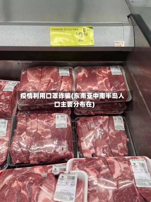 疫情利用口罩诈骗(东南亚中南半岛人口主要分布在)