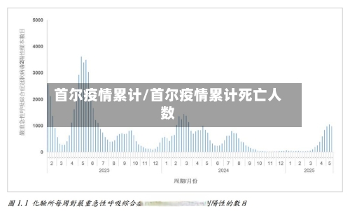 首尔疫情累计/首尔疫情累计死亡人数-第2张图片