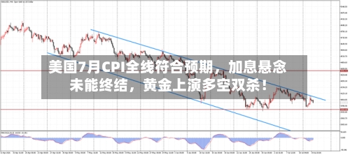 美国7月CPI全线符合预期，加息悬念未能终结，黄金上演多空双杀！-第2张图片