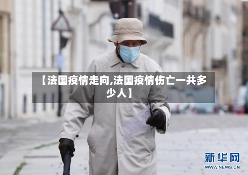 【法国疫情走向,法国疫情伤亡一共多少人】-第3张图片