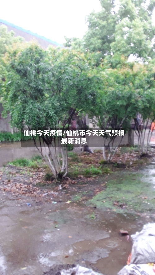 仙桃今天疫情/仙桃市今天天气预报最新消息