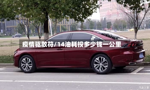 疫情驱散符/14油耗投多少钱一公里-第3张图片