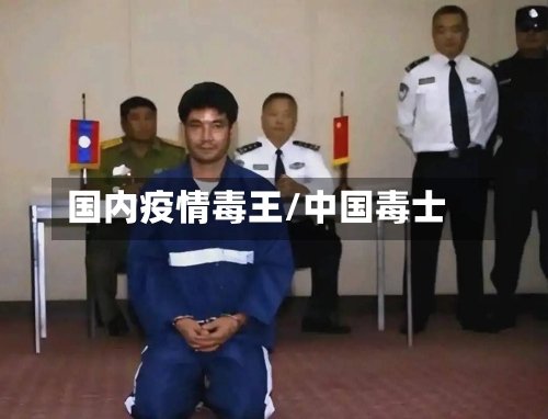 国内疫情毒王/中国毒士