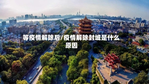 等疫情解除后/疫情解除封城是什么原因-第2张图片