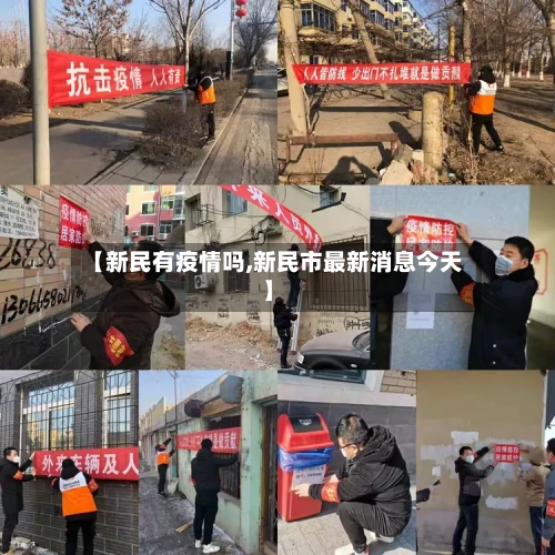 【新民有疫情吗,新民市最新消息今天】-第3张图片