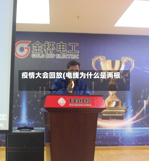 疫情大会回放(电线为什么是两根)-第2张图片