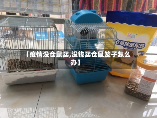 【疫情没仓鼠买,没钱买仓鼠笼子怎么办】