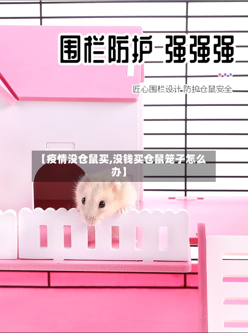 【疫情没仓鼠买,没钱买仓鼠笼子怎么办】-第2张图片