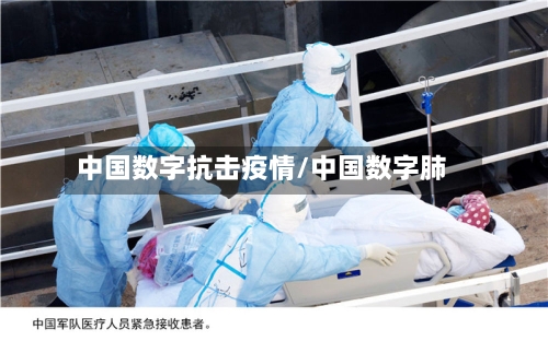 中国数字抗击疫情/中国数字肺-第2张图片
